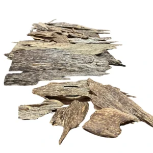 Sumatra Oud 100 gram