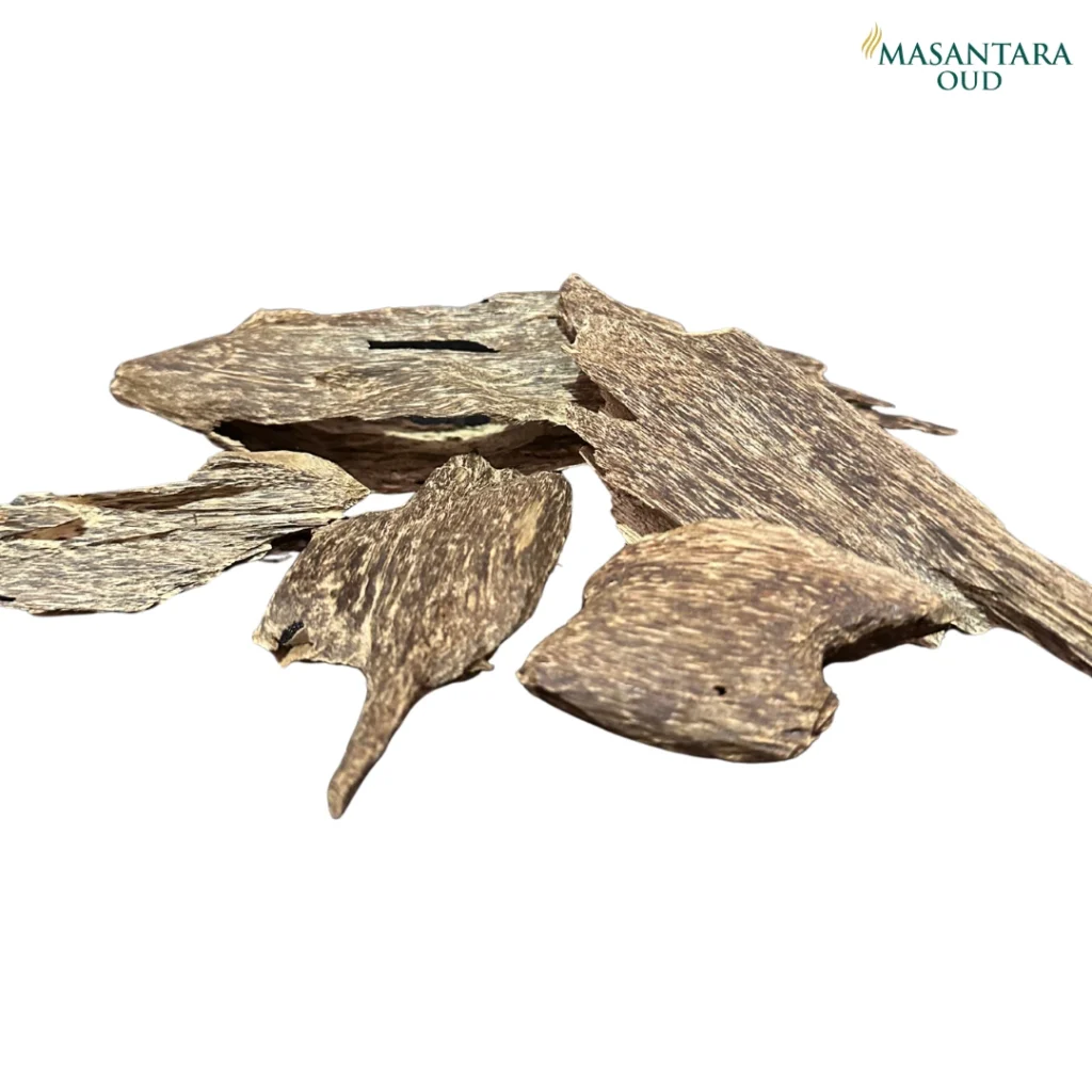 Sumatra Oud Wood Indonesia