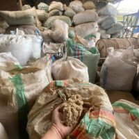 Oud Superfine Dust Warehouse