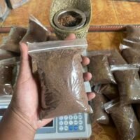 Oud Superfine Dust Wholesale Sample